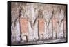 Huaca del Sol y de la Luna, Moche civilisation, Peru, South America-Peter Groenendijk-Framed Stretched Canvas