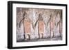 Huaca del Sol y de la Luna, Moche civilisation, Peru, South America-Peter Groenendijk-Framed Photographic Print