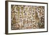 Huaca del sol y de la Luna, Moche civilisation, Peru, South America-Peter Groenendijk-Framed Photographic Print