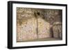 Huaca del Sol y de la Luna, precolombian (Moche) structure, polychrome friezes, Peru, South America-Peter Groenendijk-Framed Photographic Print