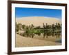 Huacachina Oasis and Lake, Ica Region, Peru, South America-Karol Kozlowski-Framed Photographic Print