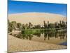 Huacachina Oasis and Lake, Ica Region, Peru, South America-Karol Kozlowski-Mounted Photographic Print