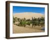 Huacachina Oasis and Lake, Ica Region, Peru, South America-Karol Kozlowski-Framed Photographic Print