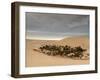 Huacachina Oasis, elevated view, Ica Region, Peru, South America-Karol Kozlowski-Framed Photographic Print