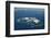 Huahine Island-XavierMarchant-Framed Photographic Print