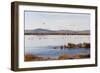 Huahu (Flower Lake), an Important Sanctuary for Birds, Sichuan, China, Asia-Alex Treadway-Framed Photographic Print