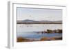 Huahu (Flower Lake), an Important Sanctuary for Birds, Sichuan, China, Asia-Alex Treadway-Framed Photographic Print