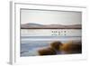 Huahu (Flower Lake), an Important Sanctuary for Birds, Sichuan, China, Asia-Alex Treadway-Framed Photographic Print