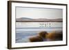 Huahu (Flower Lake), an Important Sanctuary for Birds, Sichuan, China, Asia-Alex Treadway-Framed Photographic Print