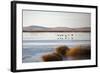 Huahu (Flower Lake), an Important Sanctuary for Birds, Sichuan, China, Asia-Alex Treadway-Framed Photographic Print