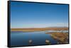 Huahu (Flower Lake), wetland area supporting large array of biodiversity on Tibetan plateau, China-Alex Treadway-Framed Stretched Canvas
