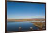 Huahu (Flower Lake), wetland area supporting large array of biodiversity on Tibetan plateau, China-Alex Treadway-Framed Photographic Print