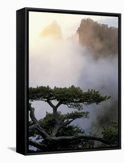 Huang Shan Mountains, Anhui Province, China-Peter Adams-Framed Stretched Canvas