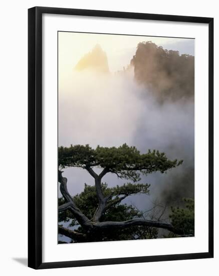 Huang Shan Mountains, Anhui Province, China-Peter Adams-Framed Photographic Print