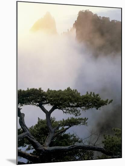 Huang Shan Mountains, Anhui Province, China-Peter Adams-Mounted Photographic Print