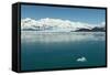 Hubbard Glacier in Yakutat Bay, Alaska.-jirivondrous-Framed Stretched Canvas