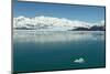 Hubbard Glacier in Yakutat Bay, Alaska.-jirivondrous-Mounted Photographic Print