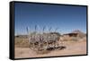 Hubbell Trading Post, Arizona, United States of America, North America-Richard Maschmeyer-Framed Stretched Canvas
