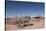 Hubbell Trading Post, Arizona, United States of America, North America-Richard Maschmeyer-Stretched Canvas