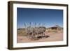 Hubbell Trading Post, Arizona, United States of America, North America-Richard Maschmeyer-Framed Photographic Print