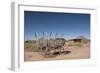 Hubbell Trading Post, Arizona, United States of America, North America-Richard Maschmeyer-Framed Photographic Print