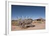 Hubbell Trading Post, Arizona, United States of America, North America-Richard Maschmeyer-Framed Photographic Print