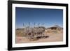 Hubbell Trading Post, Arizona, United States of America, North America-Richard Maschmeyer-Framed Photographic Print