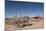 Hubbell Trading Post, Arizona, United States of America, North America-Richard Maschmeyer-Mounted Photographic Print