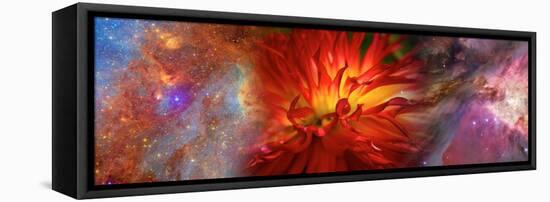 Hubble Galaxy with Red Chrysanthemums-null-Framed Stretched Canvas