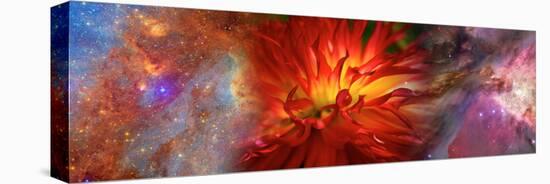 Hubble Galaxy with Red Chrysanthemums-null-Stretched Canvas