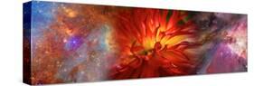 Hubble Galaxy with Red Chrysanthemums-null-Stretched Canvas