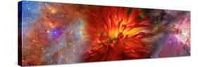 Hubble Galaxy with Red Chrysanthemums-null-Stretched Canvas