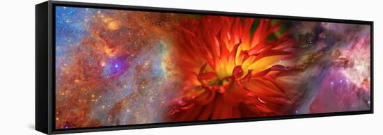 Hubble Galaxy with Red Chrysanthemums-null-Framed Stretched Canvas