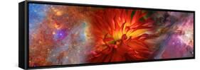 Hubble Galaxy with Red Chrysanthemums-null-Framed Stretched Canvas