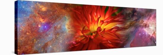 Hubble Galaxy with Red Chrysanthemums-null-Stretched Canvas