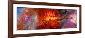 Hubble Galaxy with Red Chrysanthemums-null-Framed Premium Photographic Print