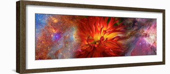Hubble Galaxy with Red Chrysanthemums-null-Framed Photographic Print