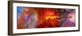 Hubble Galaxy with Red Chrysanthemums-null-Framed Photographic Print