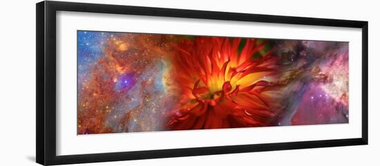 Hubble Galaxy with Red Chrysanthemums-null-Framed Photographic Print