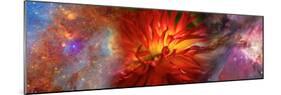 Hubble Galaxy with Red Chrysanthemums-null-Mounted Photographic Print