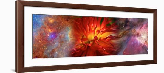 Hubble Galaxy with Red Chrysanthemums-null-Framed Photographic Print