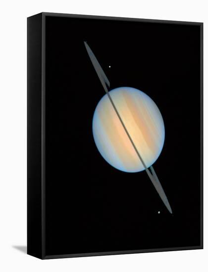 Hubble Image of Saturn-null-Framed Stretched Canvas