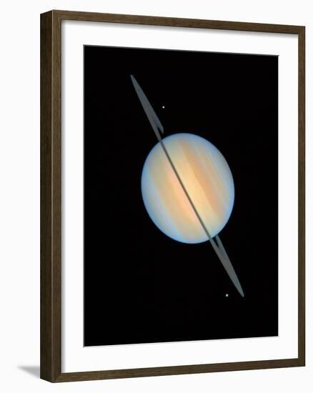 Hubble Image of Saturn-null-Framed Photographic Print