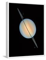 Hubble Image of Saturn-null-Framed Photographic Print