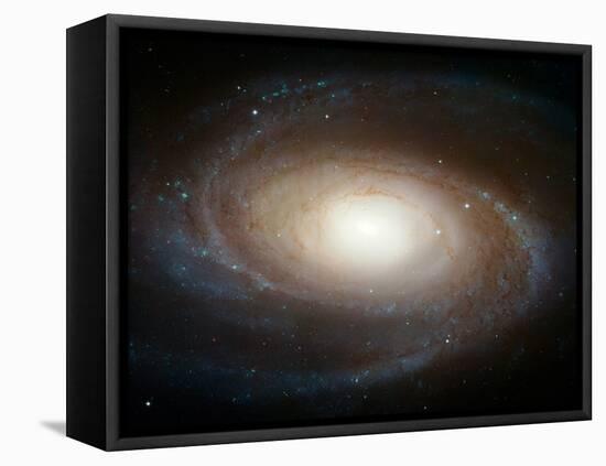 Hubble Photographs Grand Design Spiral Galaxy M81 Space Photo Art Poster Print-null-Framed Stretched Canvas