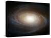 Hubble Photographs Grand Design Spiral Galaxy M81 Space Photo Art Poster Print-null-Stretched Canvas