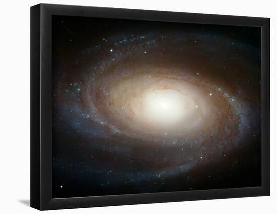 Hubble Photographs Grand Design Spiral Galaxy M81 Space Photo Art Poster Print-null-Framed Poster
