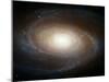 Hubble Photographs Grand Design Spiral Galaxy M81 Space Photo Art Poster Print-null-Mounted Poster