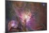 Hubble's Sharpest View of the Orion Nebula Space Photo Art Poster Print-null-Mounted Poster