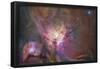 Hubble's Sharpest View of the Orion Nebula Space Photo Art Poster Print-null-Framed Poster